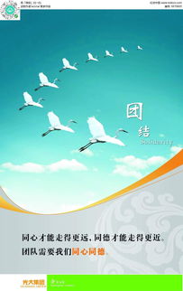 團結廣告設計PSD素材免費下載 編號5970605紅動網，助力軟件開發